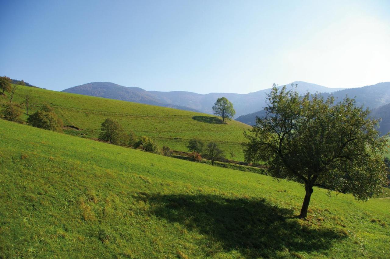 Zeitraum Ferienwohnung Tafelbuehl Elzach Buitenkant foto